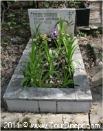 ������ ����������� ������ ���������