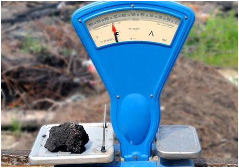 ����� �����