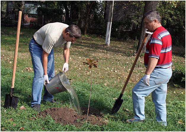 ���������