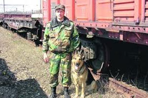 �������� ������������� ��������������� ������ � ������� �� ������� ���