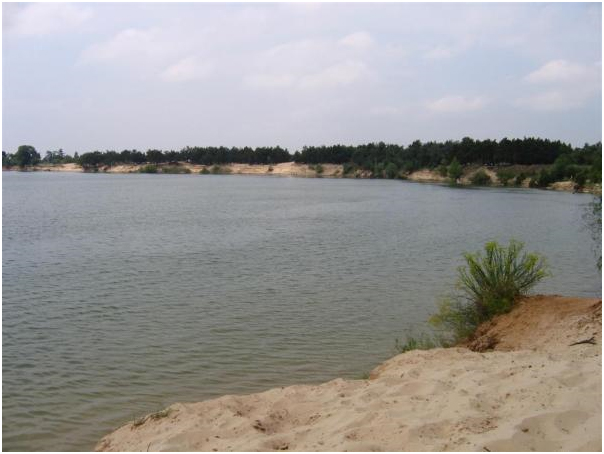 ������� ����� (�������������� ��������)