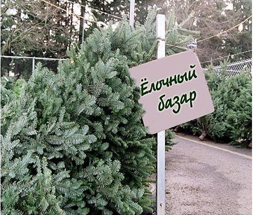 ������� �����