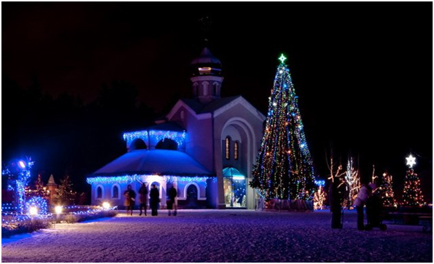 ���� ����� ������ ������ ��������