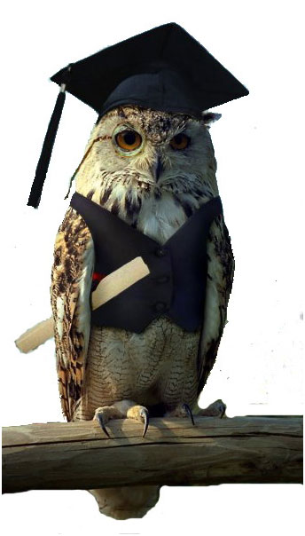 �����, ������