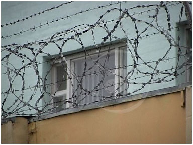 ������������ ��������