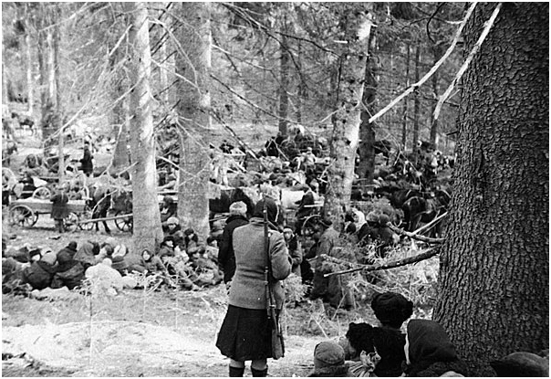 ��������� ������� ������������� �����