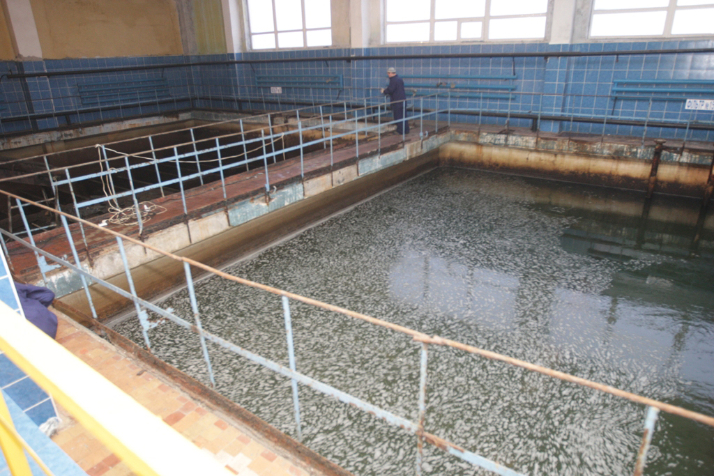 �������� �������