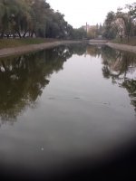 �������� ����� ������������� ���� � ������ ������� ���� �� ���� ������ ���������