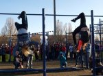 �������� �������� ��� WorkOut � 101-� ����� ������ ��������������