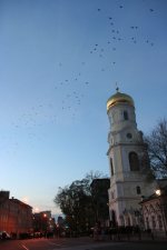 � �������������� ������� ���� ������� �������������� ������� �����������
