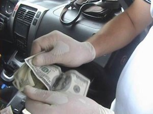 ������ � 700 �������� ���