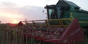 ������ �������������
