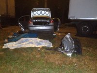 �� ���������������� � �������� ������ ������� ���� ������� � ������� �������� ������