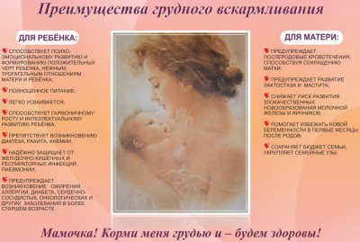 преимущества грудного вскармливания преимущества грудного вскармливания
