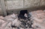 � ��������������� �� ����� �������� ���� ���������� �������