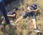 �� ���������������� ����������� ��������� 9 ������� � ��������� ������