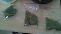 � ���������� ����������� ������ ��������� � ������