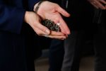 Днепропетровщина делится со всей Украиной опытом перехода на альтернативное отопление Днепропетровщина делится со всей Украиной опытом перехода на альтернативное отопление