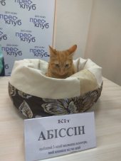 � ������ �������� ���������� ���������������� ����� ��� �����