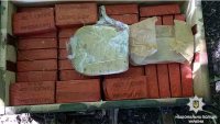 Тайник с оружием, боеприпасами и взрывчаткой обнаружили полицейские в лесополосе на Днепропетровщине Тайник с оружием, боеприпасами и взрывчаткой обнаружили полицейские в лесополосе на Днепропетровщине