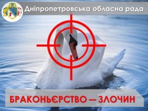 ��� �������������. ���������������� ��������� ����� ������ ������� � ������� ����� � ������������