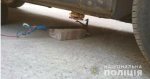 � ������ ������������� ����������� �������� ����������, ������������� � ����������