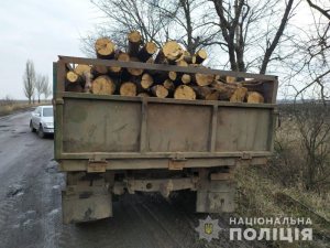 � ����������������� ������ ����������� ���������� ��� ����������, ����������� ����������