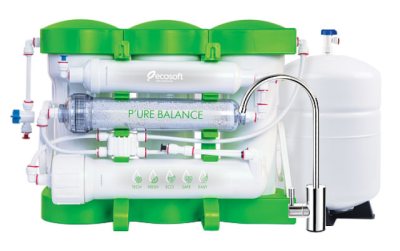 ������ ��������� ������ Ecosoft PURE BALANCE