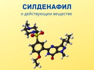 � �������� ����������
