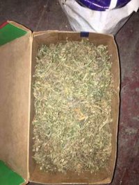 � ���� ���������� ����� 3 �� ���������