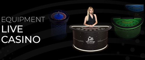 GAMEBRIDGE CASINO EQUIPMENT - ������������ ��� ������ � �������� ������