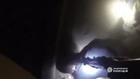 �� ���������������� ����������� ��������� ���������� ���������� �����������, ������� �������� �������� � �������� ����� ������� ������