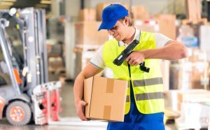 ������ ���������������