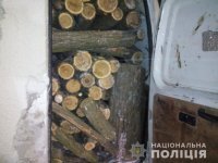 � ������������ ������ ����������� ����������� ���� ������, ������� ���������� ���������� �������� ��������