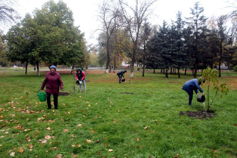 В Васильковской общине Синельниковского района высадили более 800 деревьев В Васильковской общине Синельниковского района высадили более 800 деревьев