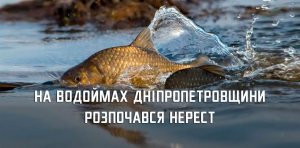 �� ���������������� ���������� ���������� ����������� �� ��� ����