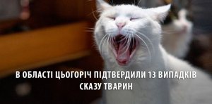 �� ���������������� ������������� 13 ������� ��������� ����� ��������