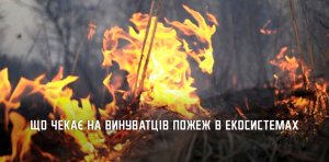 � ������ ���� ���������� ������� ������ ����� 750 ���