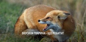 �� ���������������� ���������������� 22 ������ ��������� ����� ��������