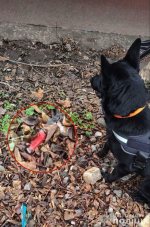 � ������ ����� ������ ���-��������� �����, ������� �������� ���������� �� �������� ���� ������ � ��������� ������������ ����������� ������