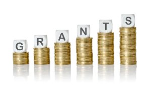 Grants (������)