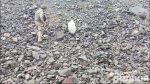 � ������ ���� ������������� ������� ����������� ������ ����� ������