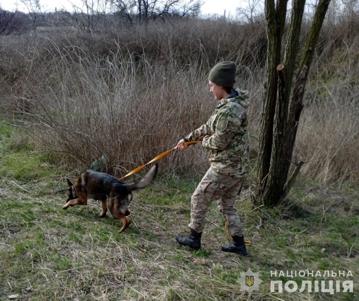 благодаря служебной овчарке, полицейские обнаружили орудие преступления – два ножа, которые направили на проведение экспертизы благодаря служебной овчарке, полицейские обнаружили орудие преступления – два ножа, которые направили на проведение экспертизы