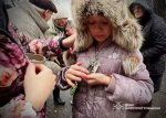 ����� �� ���������������� �������