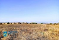 � ���������������� ������� ����������� ������� � ��������������� ������������� ����� ���������� �������� ����� 300 ��