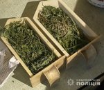 � ��������� ����������� ����������� ���� ������ � ���������� ����������� �������