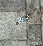 �� ����������� �������� � �������� ������ ����������� ������ ��������� ����������