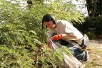 50 �������, 40 ���� ��������� �������. ����� ������������� � ���������� ��� ������ �World Cleanup Day�