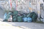50 �������, 40 ���� ��������� �������. ����� ������������� � ���������� ��� ������ �World Cleanup Day�