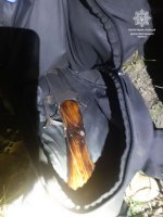 ���������� ��������� �������, ������� ��������� � ������� �� ��������� �� �������� � ������